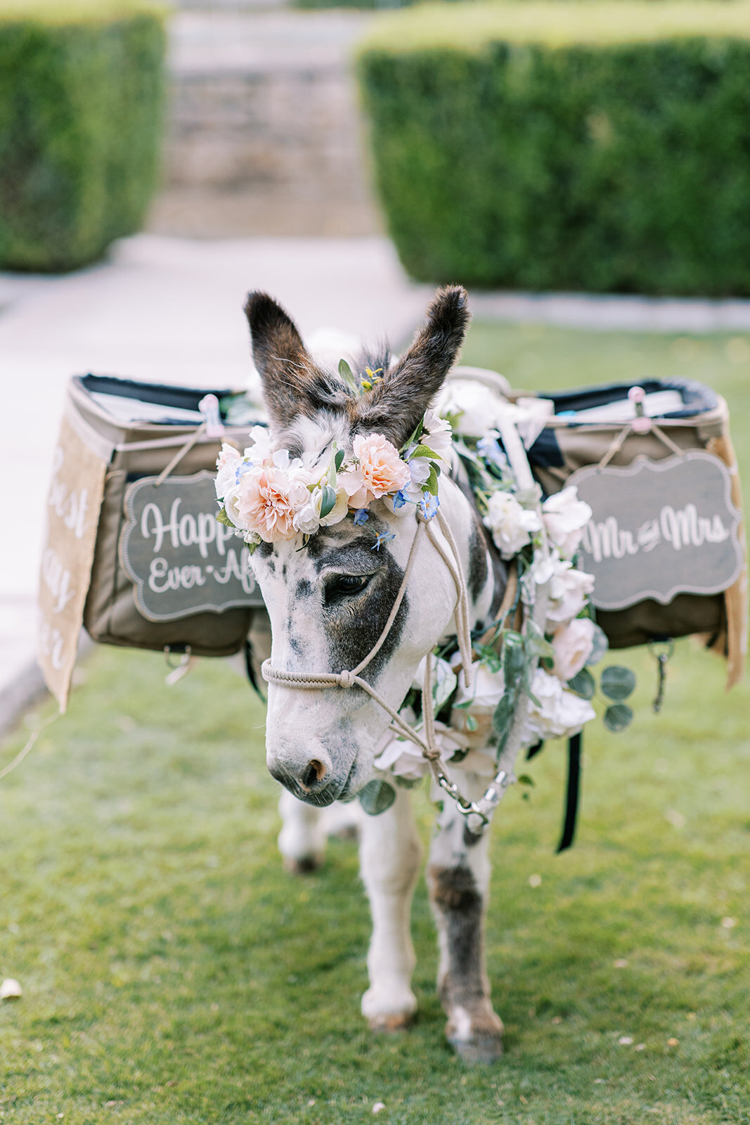 Anna and Andrew Sneak Peeks-37