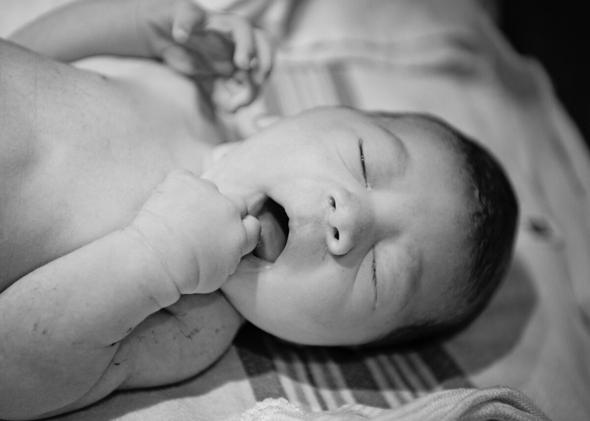 © Beck Photography 441