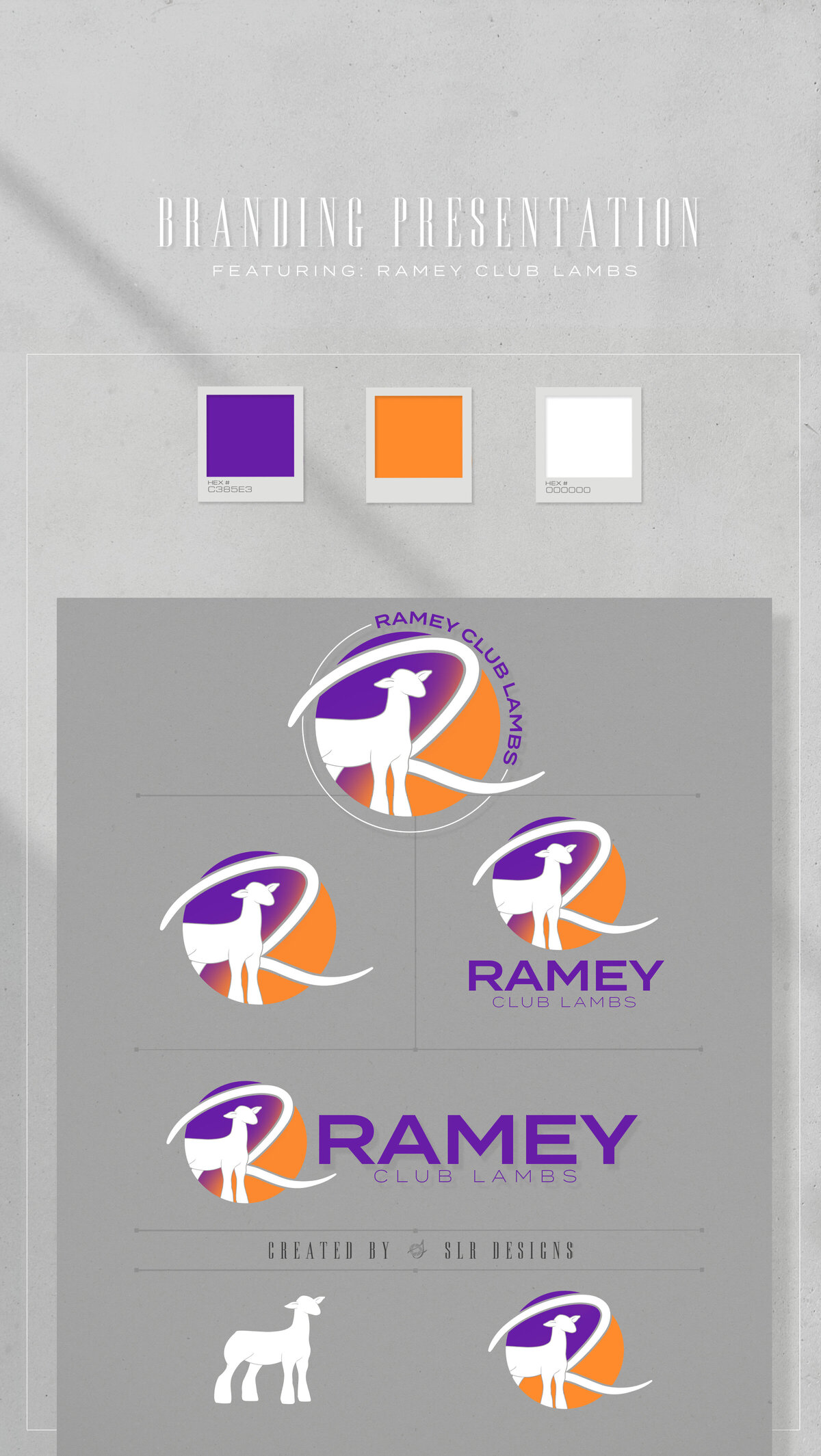 LogoDelievery(RAMEY)2