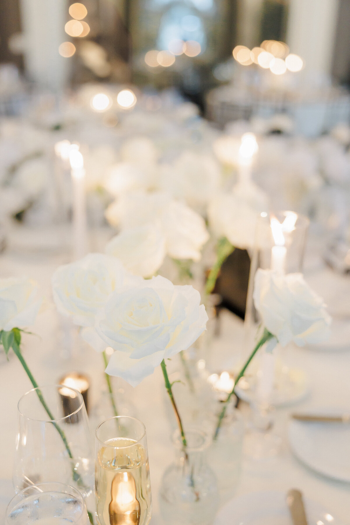 Lexi Benjamin Photography_Waldorf Astoria Chicago Wedding_09.21.24-194