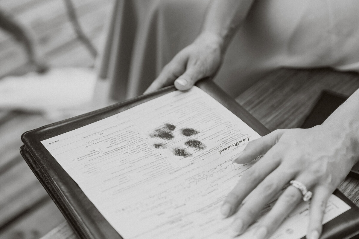 sevierville micro wedding-140