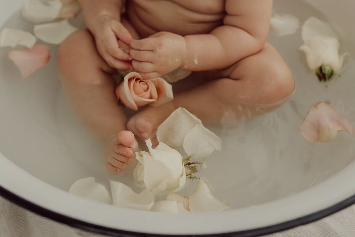 Frombumptobaby- cakesmash-2