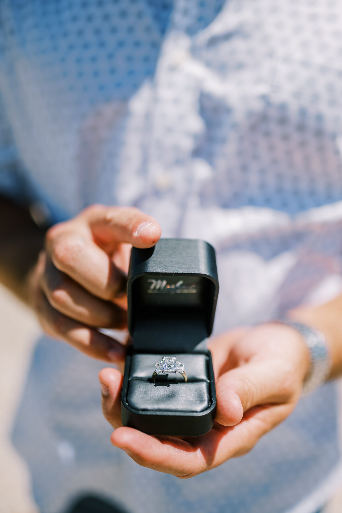 lindsey-kristian-photography-proposal-photos-8