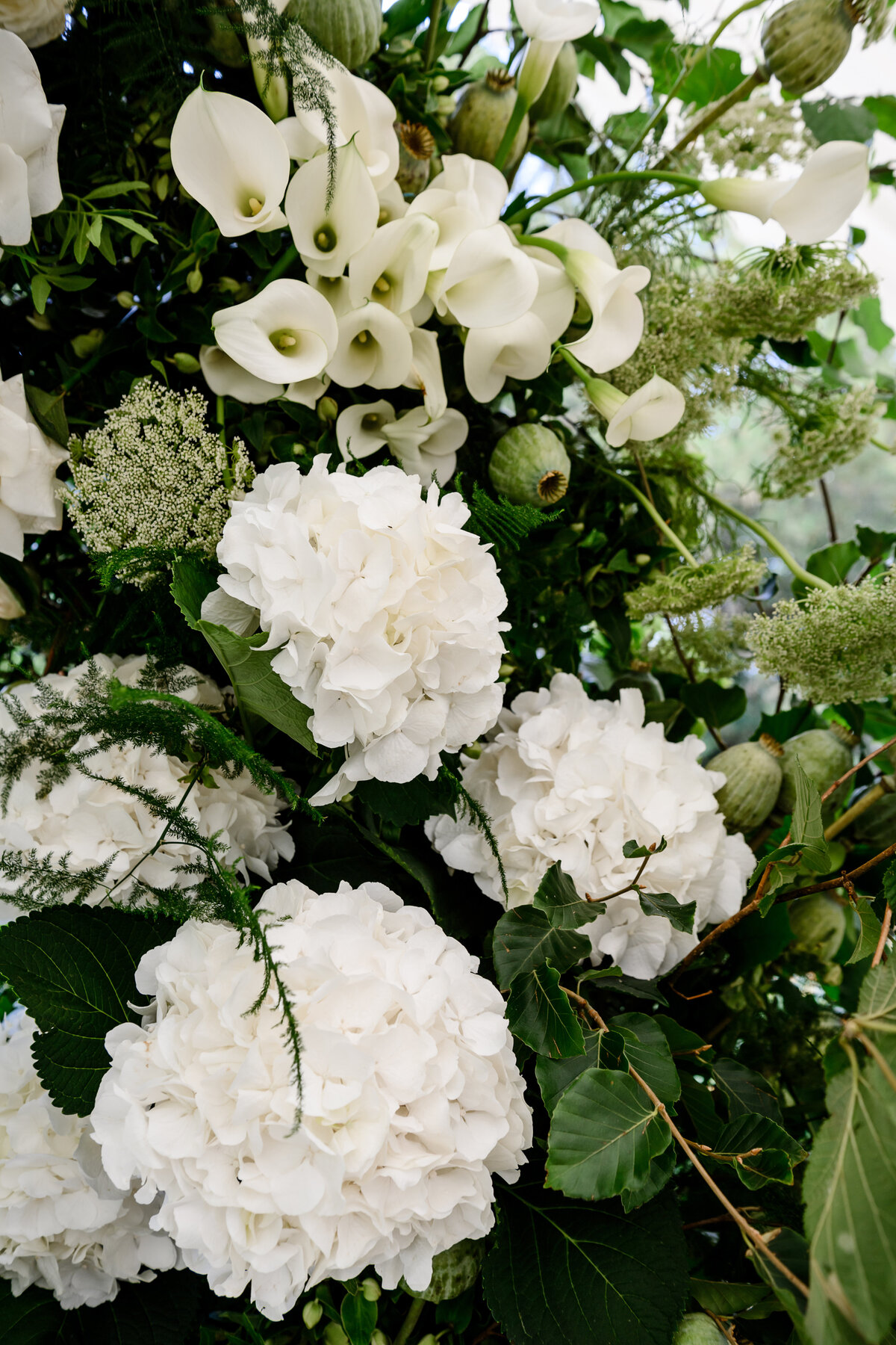 Photo 06-10-2025, 16 41 43 (28)