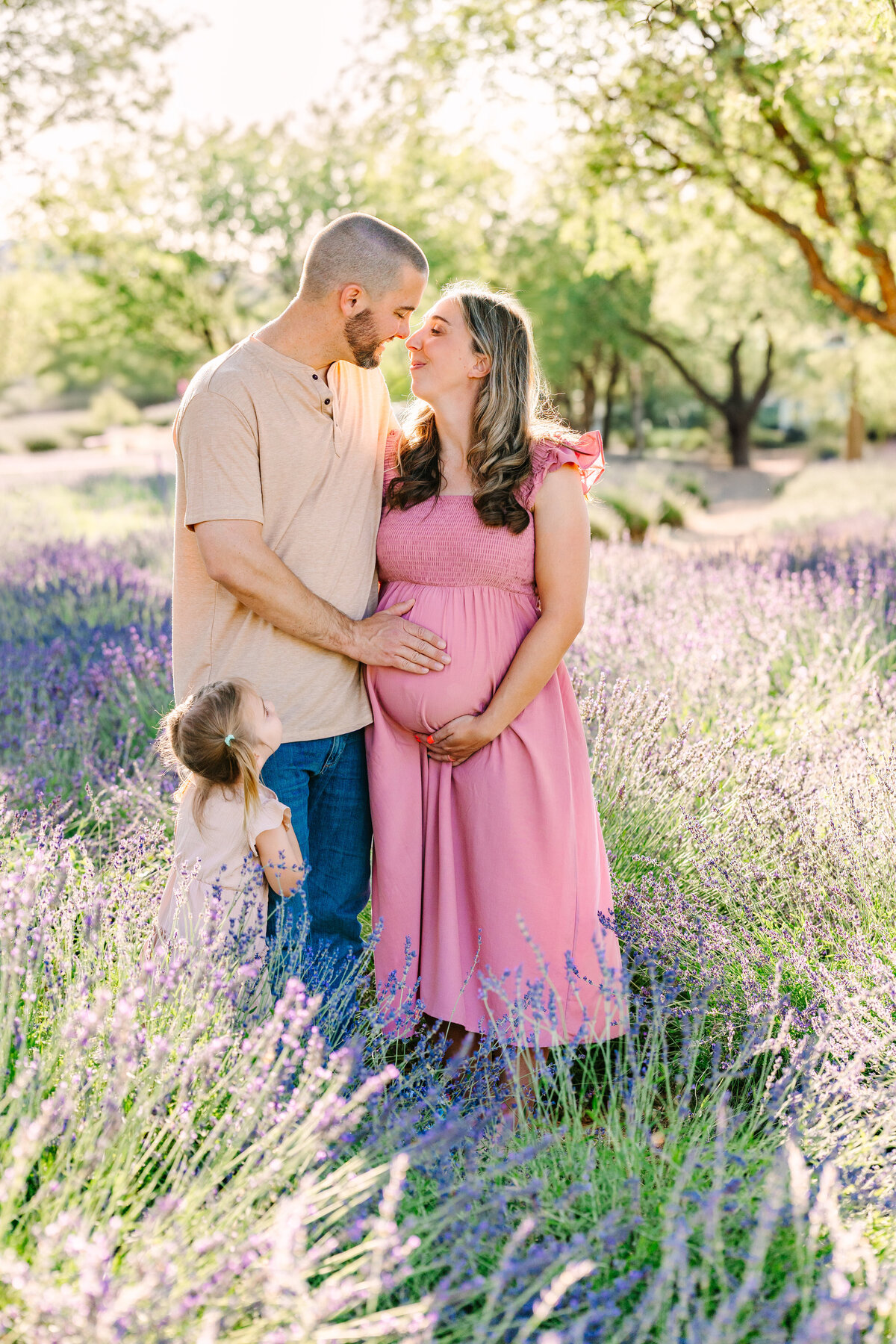 Lavender Minis 2025-2330