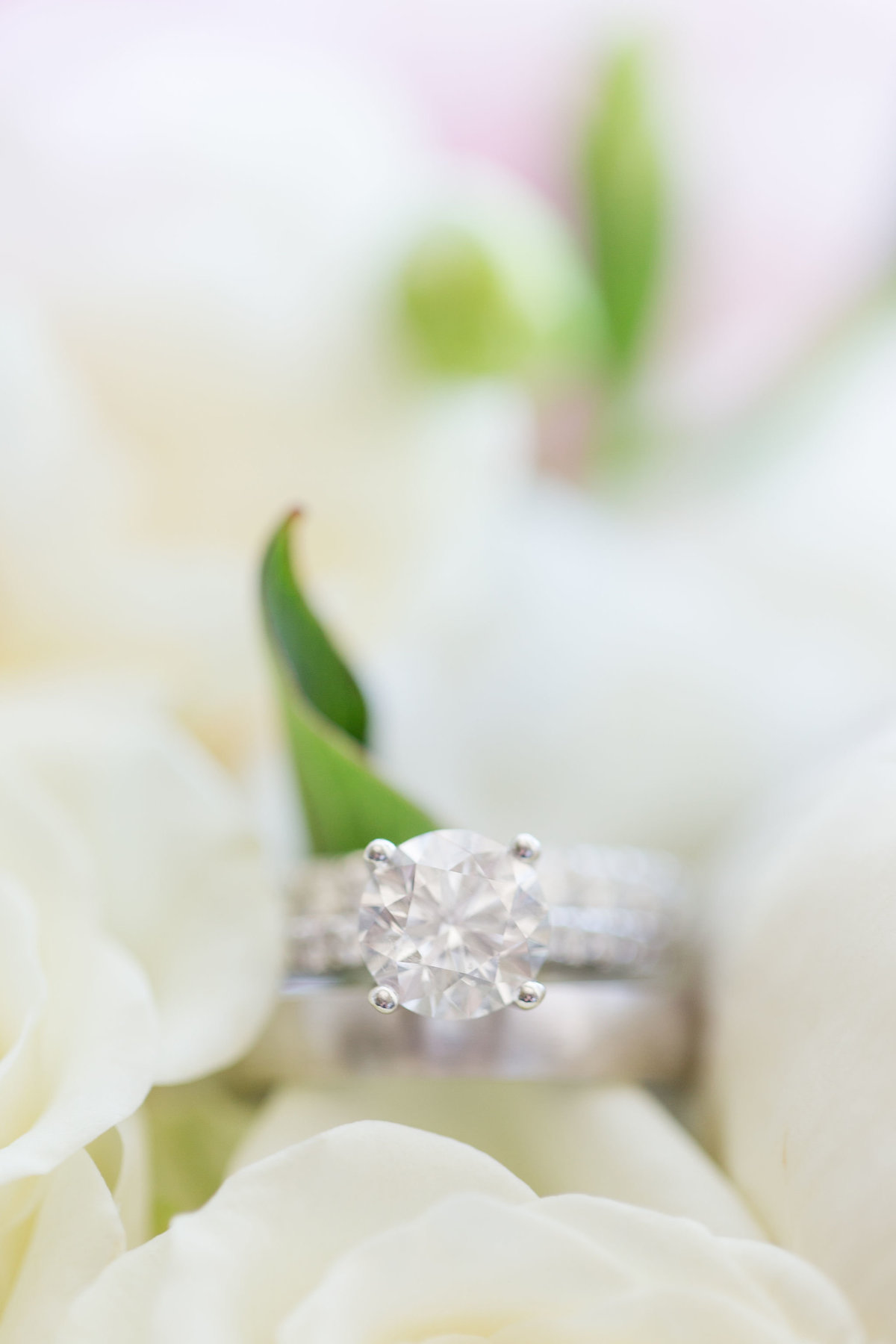 Marissa&RichardWedding-2018-26063