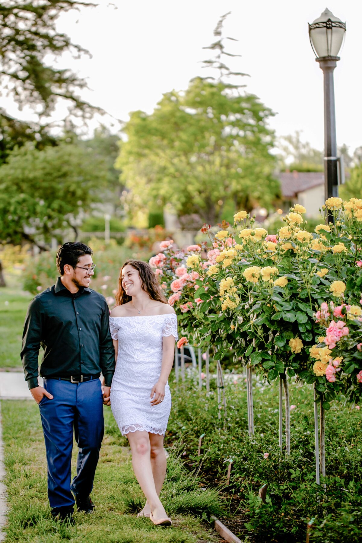 San Jose Rose Gardenl Session-14
