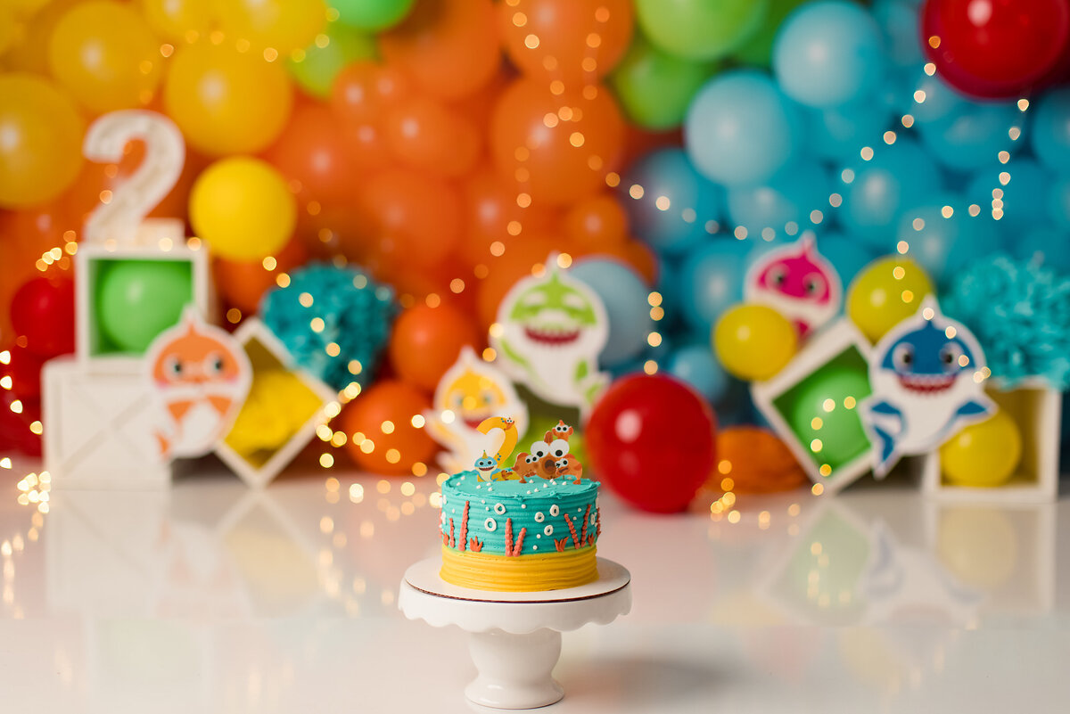 Huntsville AL Cake Smash Photographer
