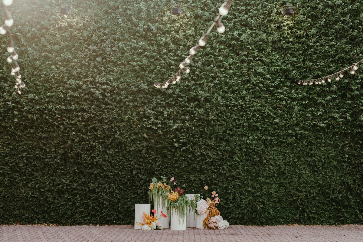 Rachael & Edward - BDC Wedding-427
