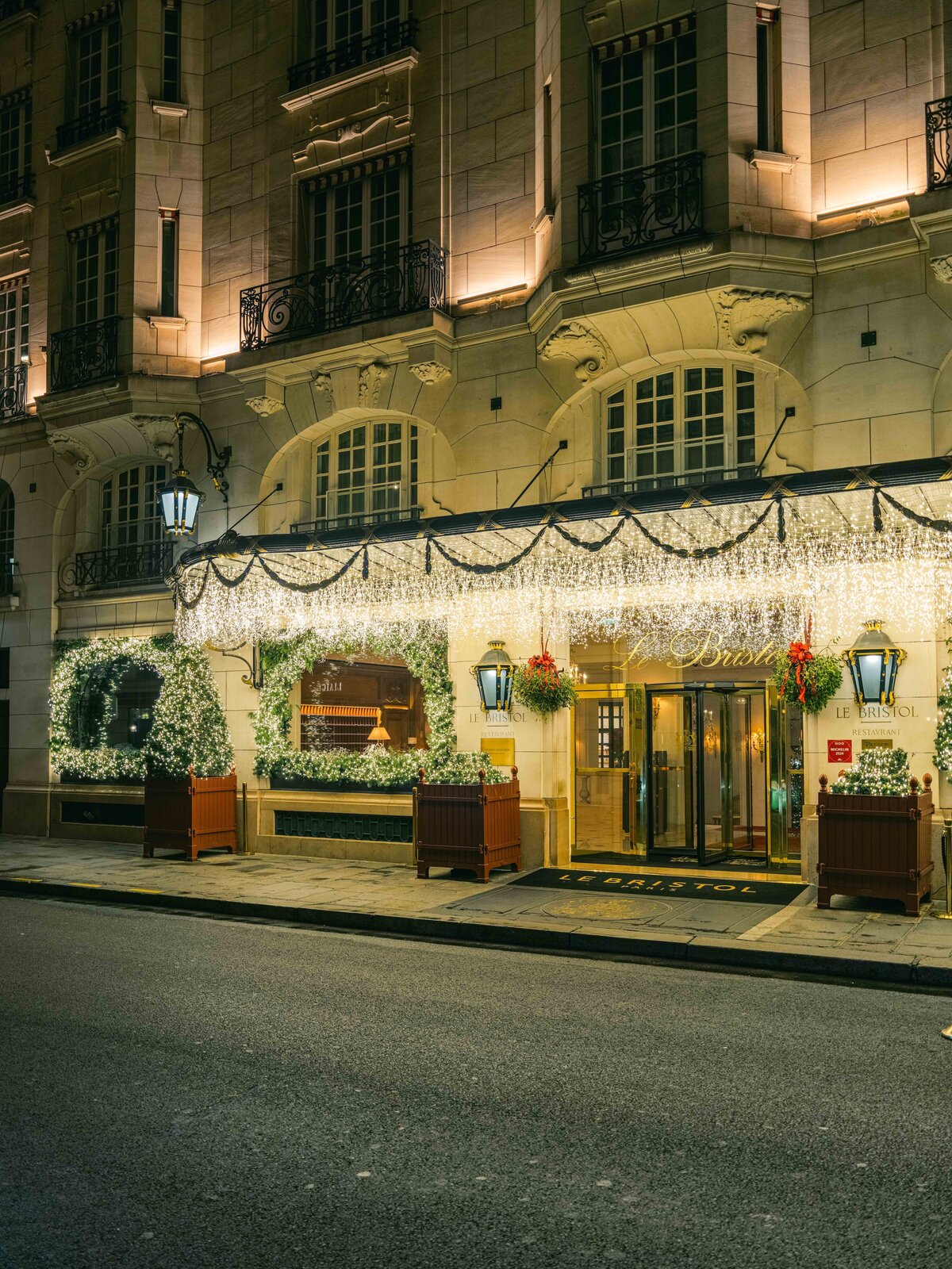 Bristol-Christmas-Paris-2024-Floraison3