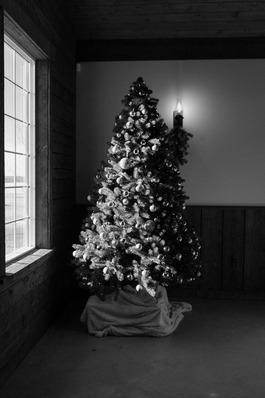 Wedding Venue Near Calgary and Edmonton 66 Large