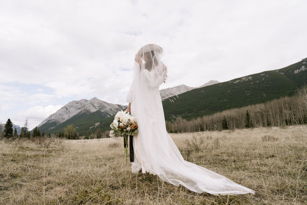 Bride in a long train gown standing in an open mountain field — timeless, cinematic destination wedding portrait.