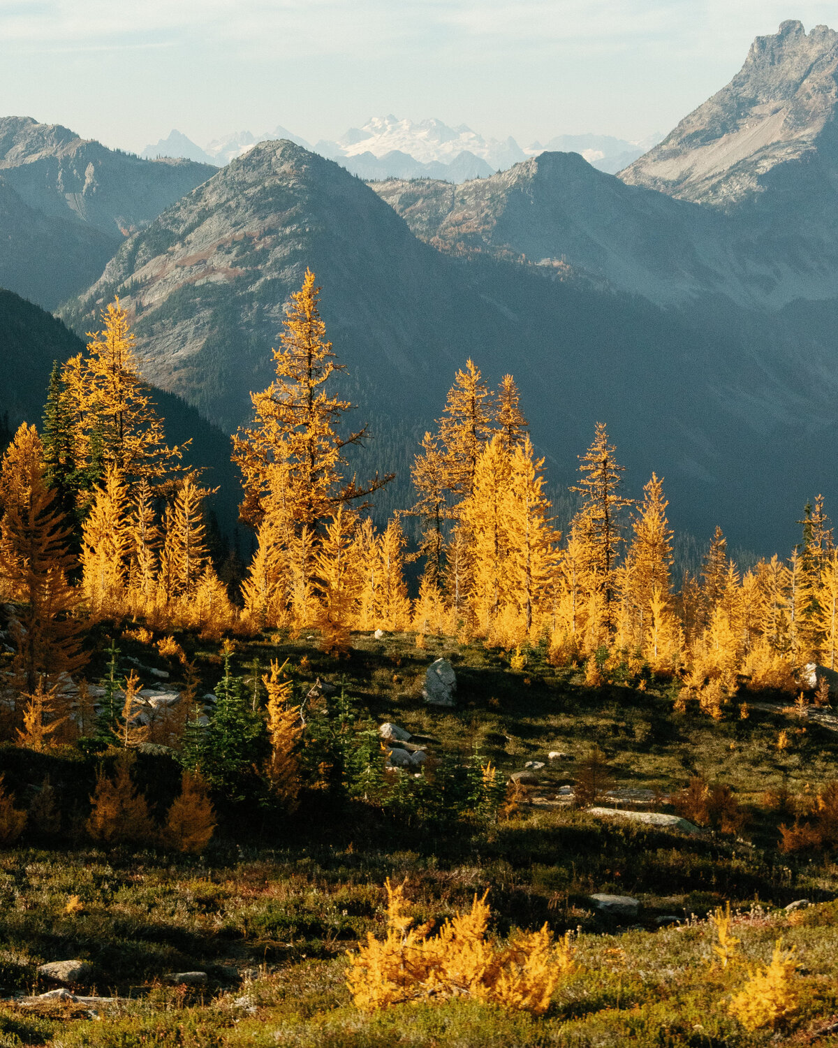 cutthroat_pass_north_cascades_national_park_washington_larch_hike_02