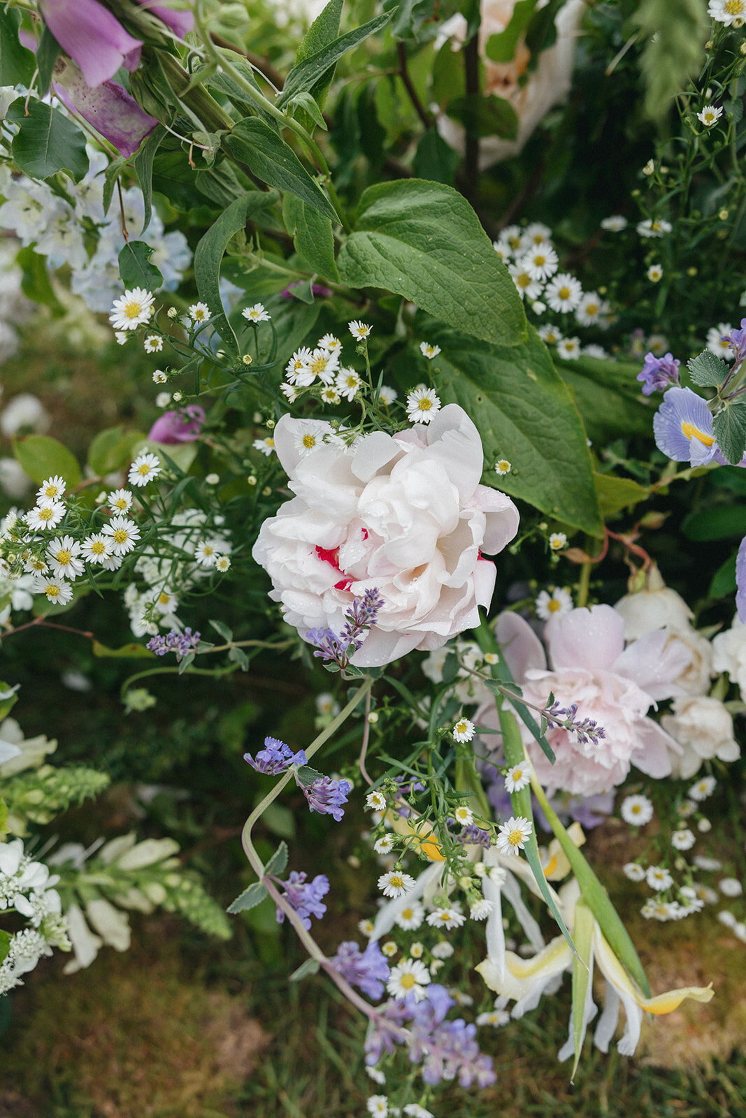 V+R-Emma Wilder Photography-331