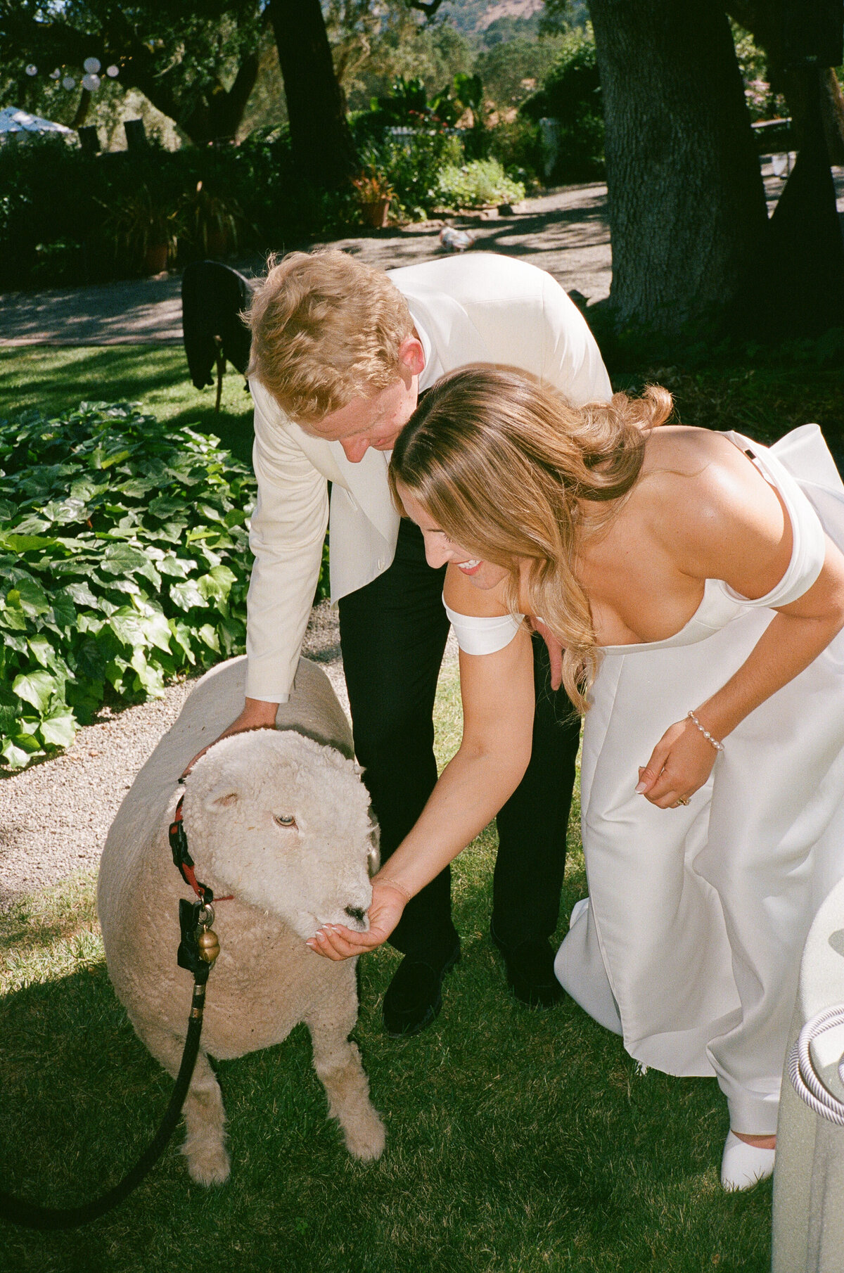 Z+S-Beltane-Ranch-Wedding-157