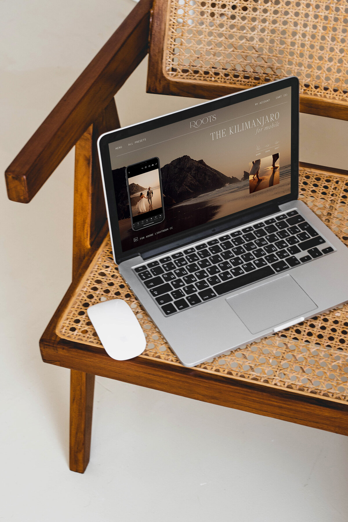 Website mockup1