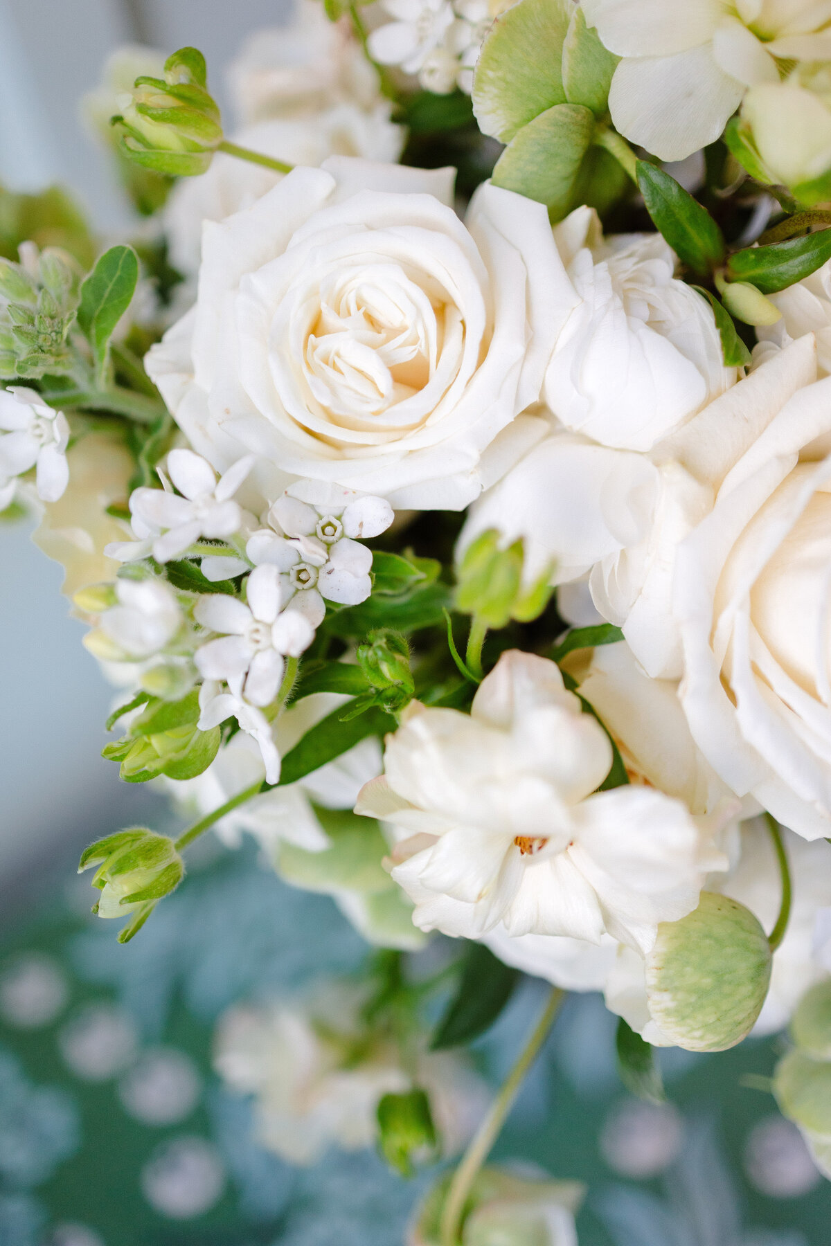 sarahtrevor-1gr_LMP-9