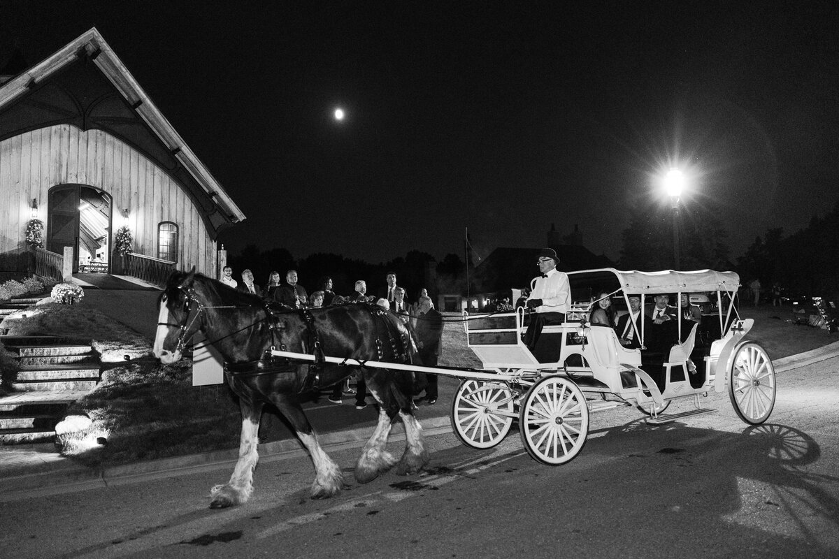 michigan wedding photographers