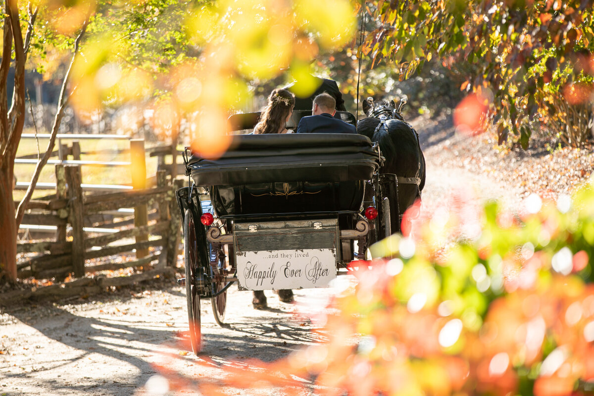 Neverland_Farms_Georgia_Rustic_Wedding_Lauren_Ashley_Studios-40