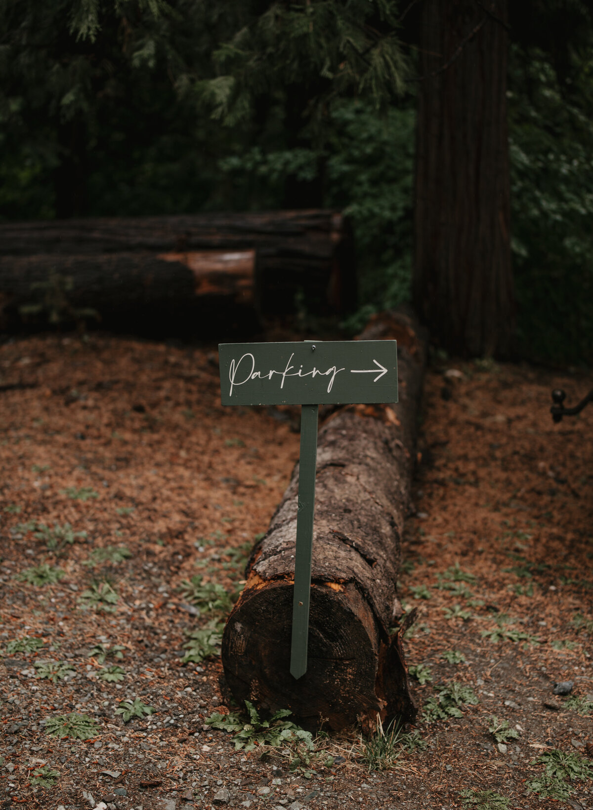 MountainTimePhotography-701