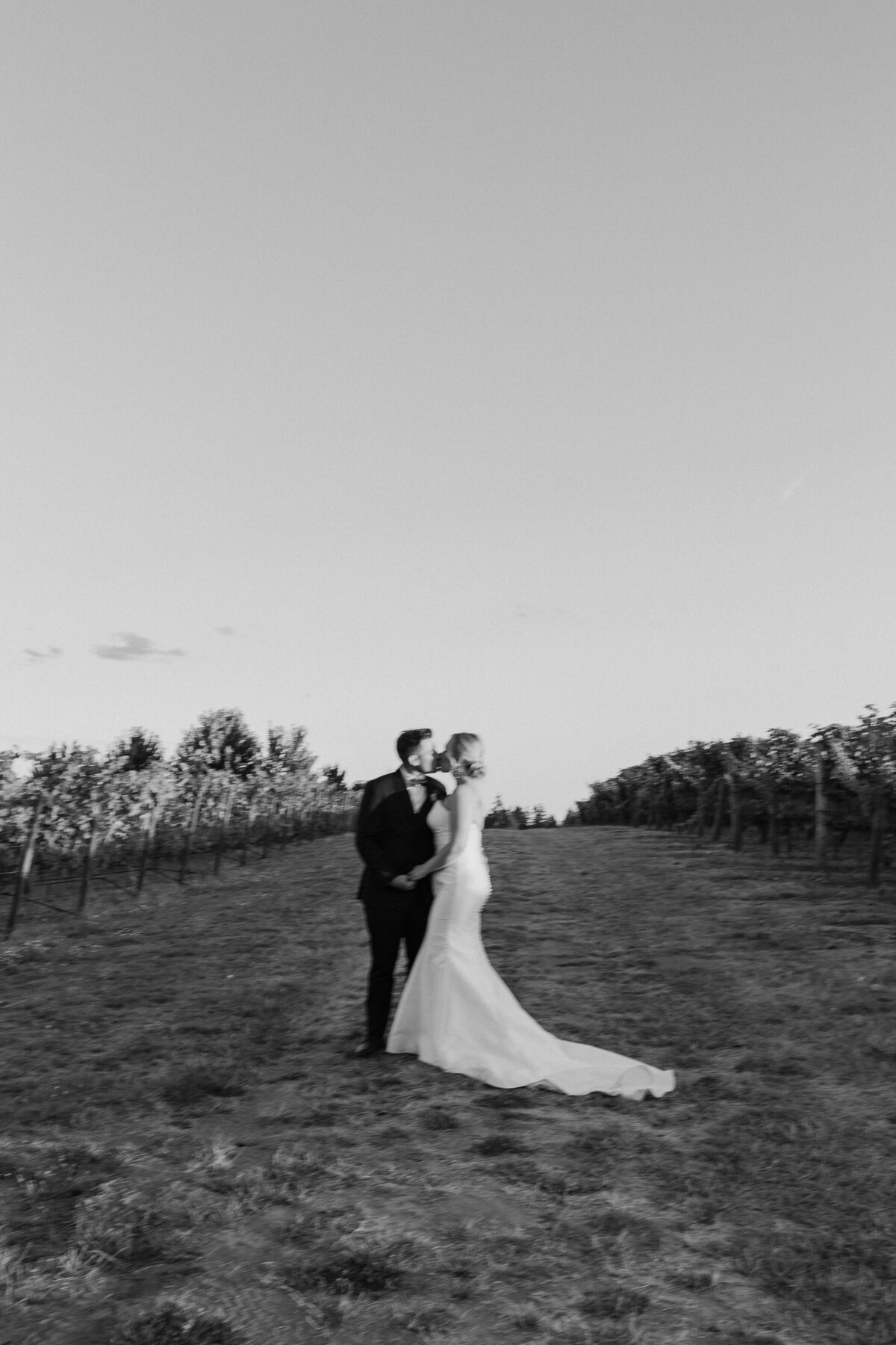 AuroraVineyardsWedding