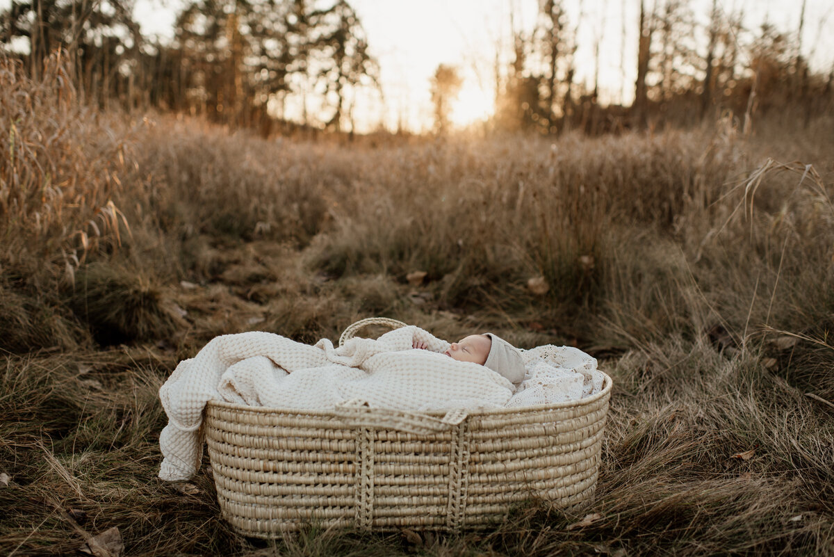 Sonia-Newborn-photography-session-Campbell-Valley-Park77