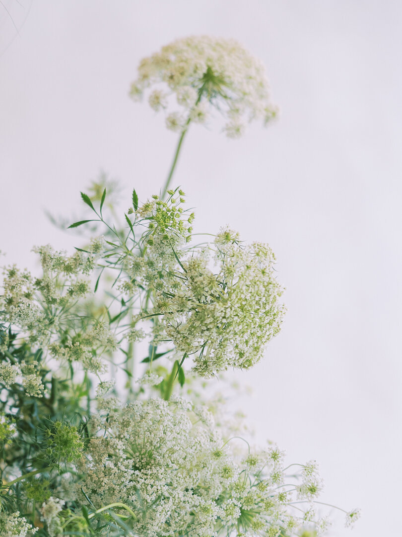 indianapolis wedding florist brand session-36