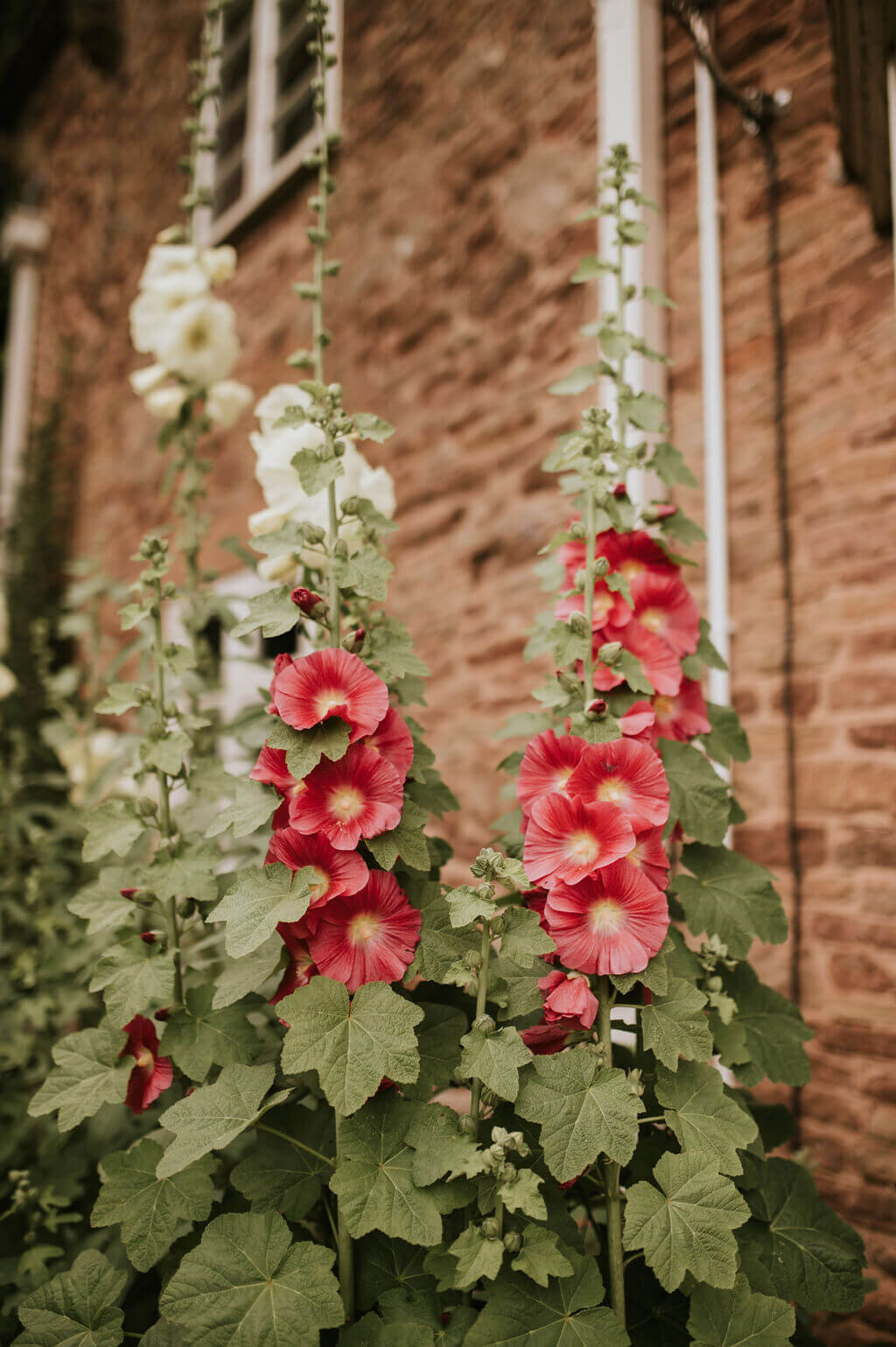 Issy-and-Bella-Floral-Design-Wedding-Florist-Herefordshire-Broadfield-Court-j&N1