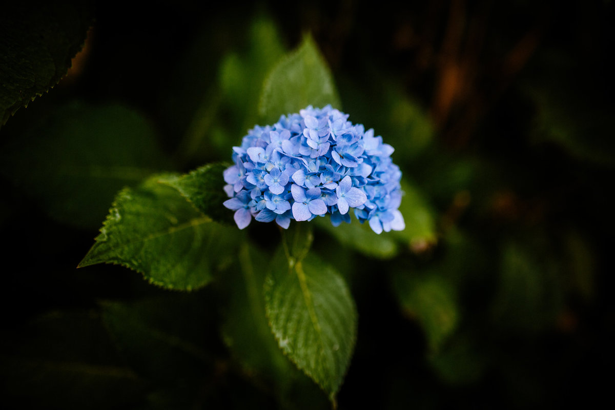 SM__7268