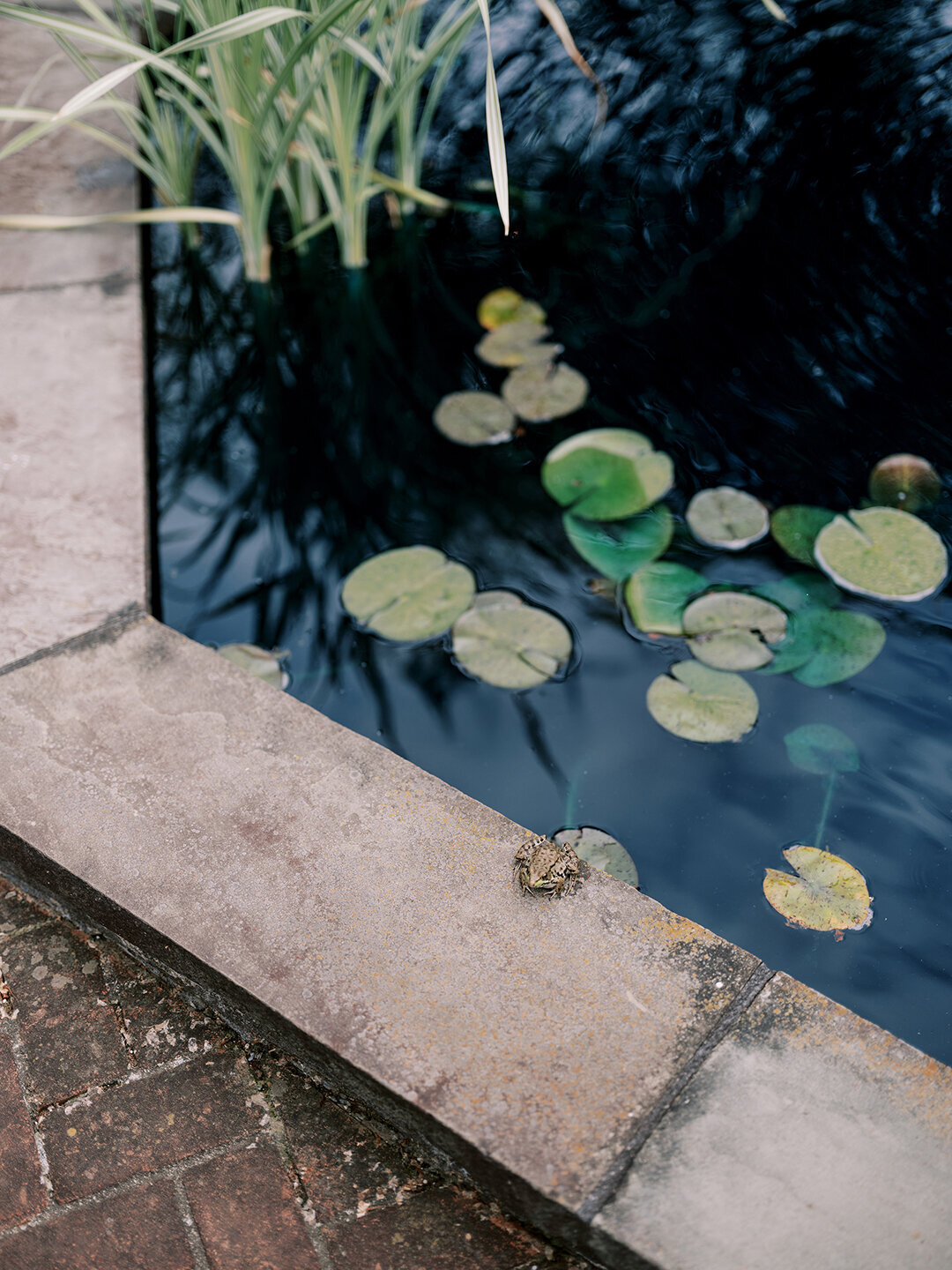 KathleenRob5-3-25GlenstoneGardenVA-VickiGraftonPhotography-21