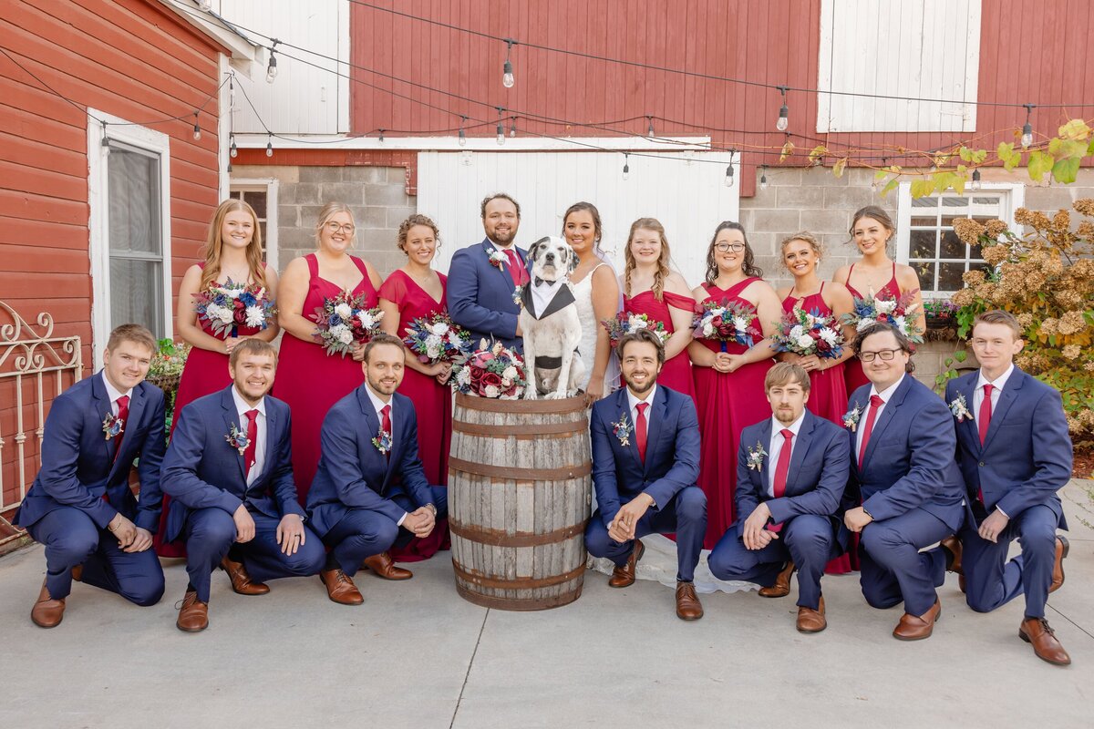 Grace & Jack Wedding Photography - DVX10937