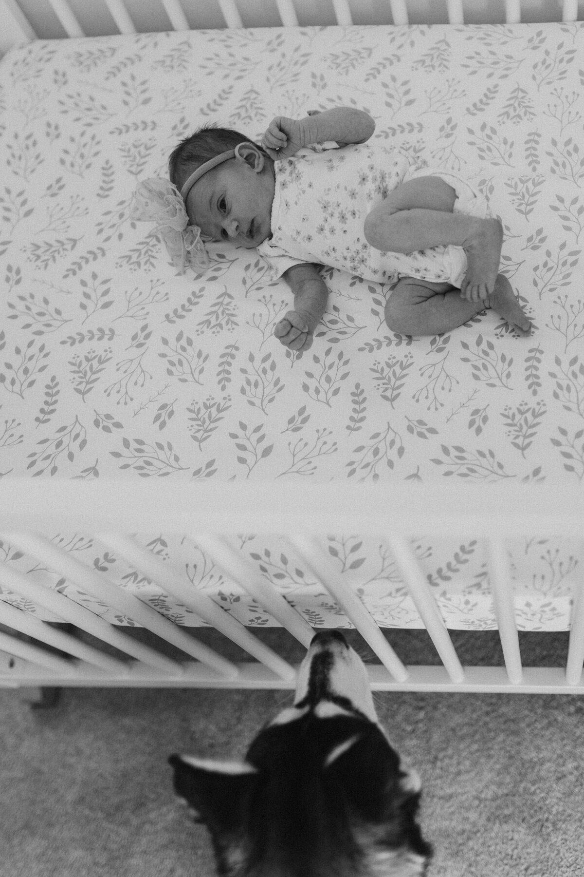 MorganMichaelNewborn-105