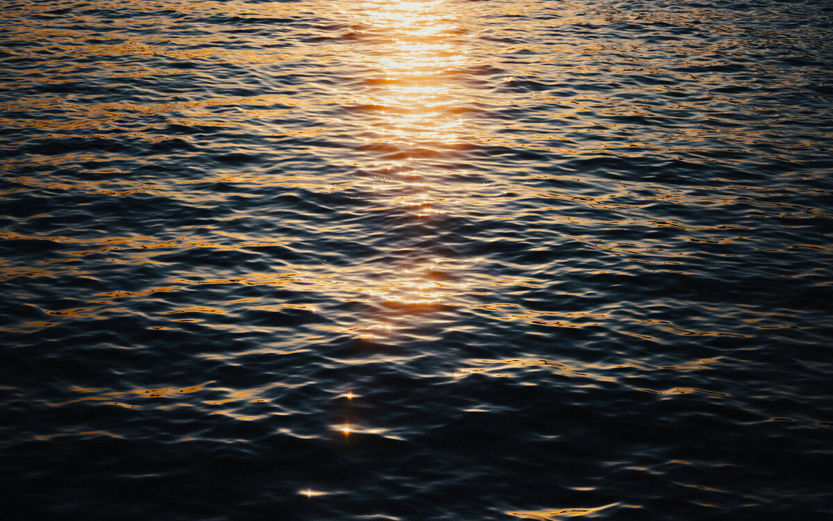 pexels-tahmetler-24709246
