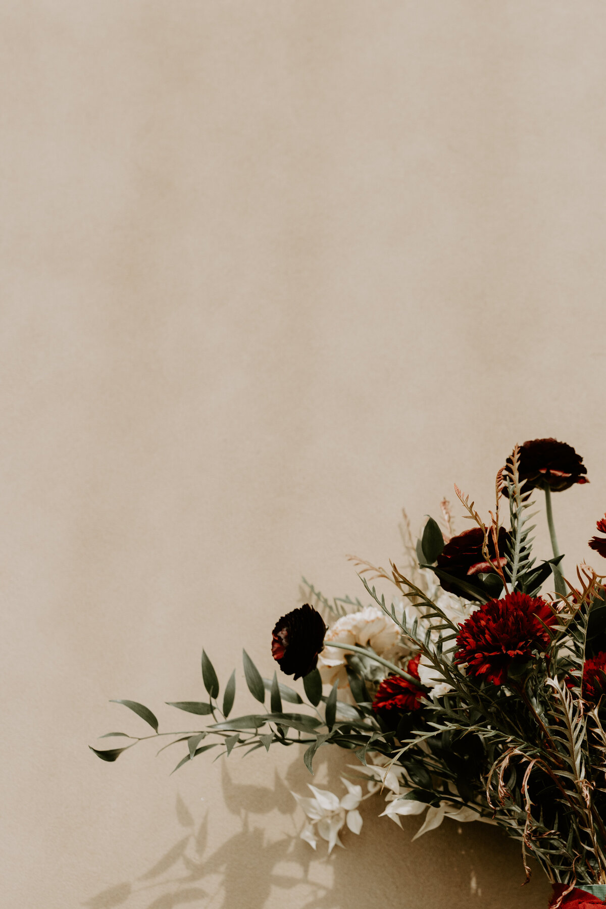 Aly Haydon Photography-264
