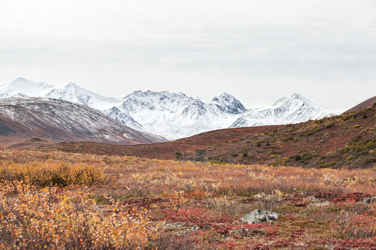 Alaska mountain