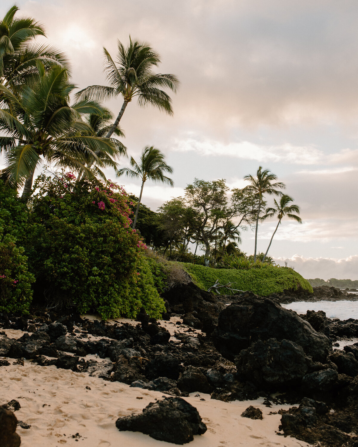 maui_hawaii_beach_sunrise_1