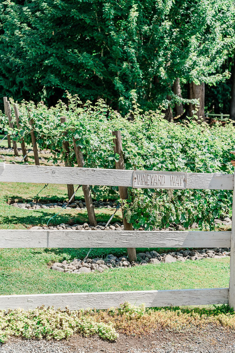 The garden at chateau lill