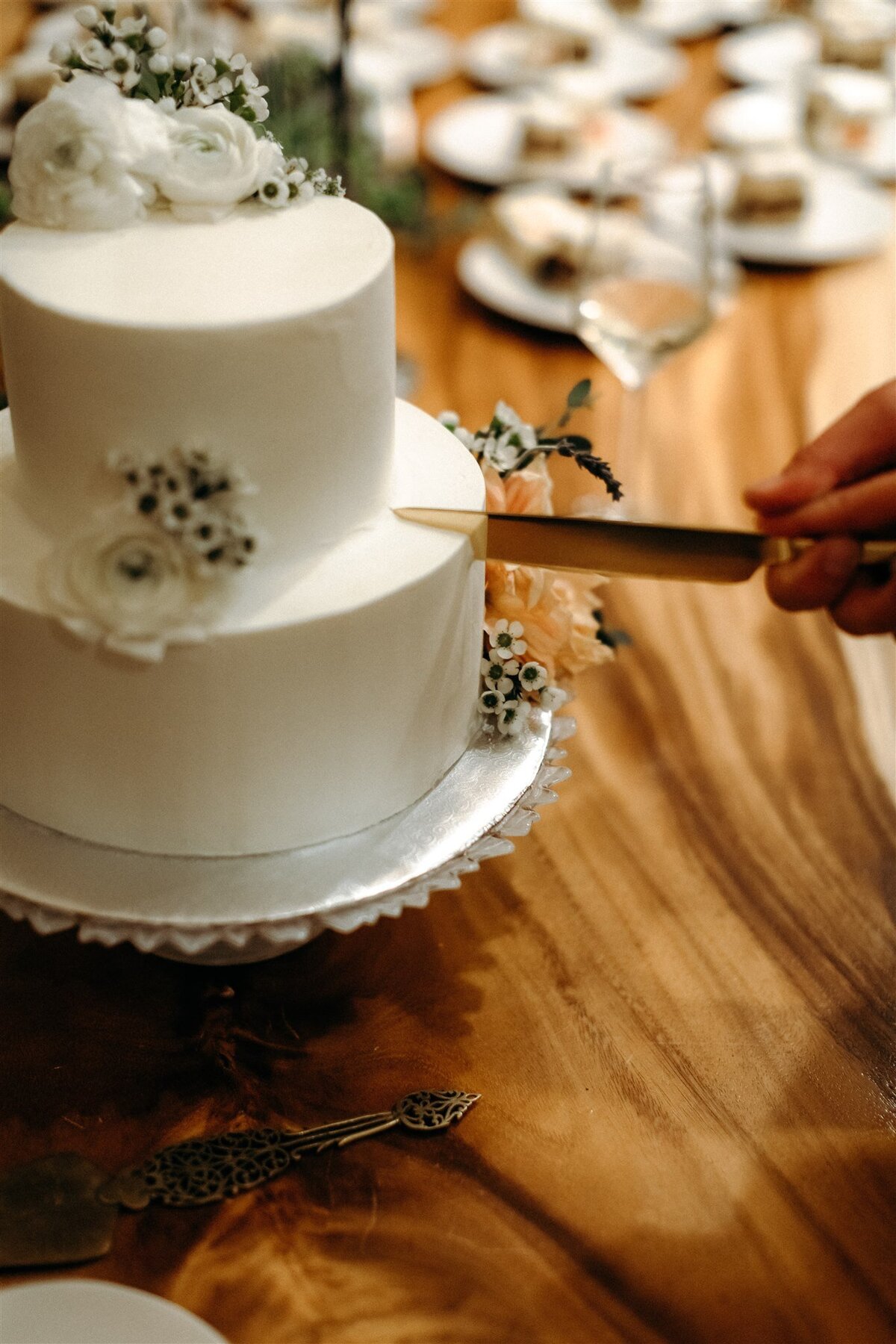 sloane-and-hank-big-sur-wedding-642