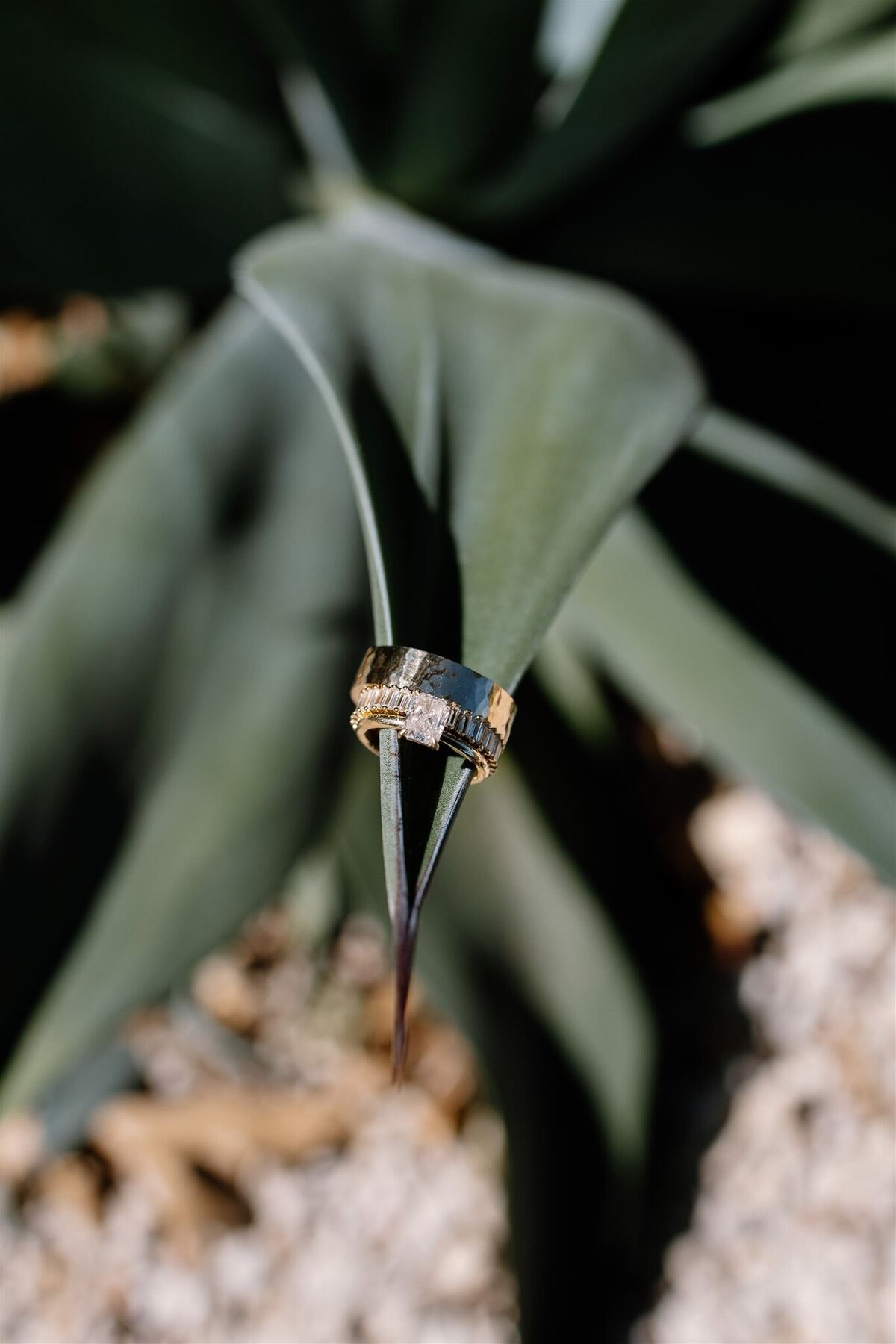 prospect-house-wedding-leah-thomason-photography-2