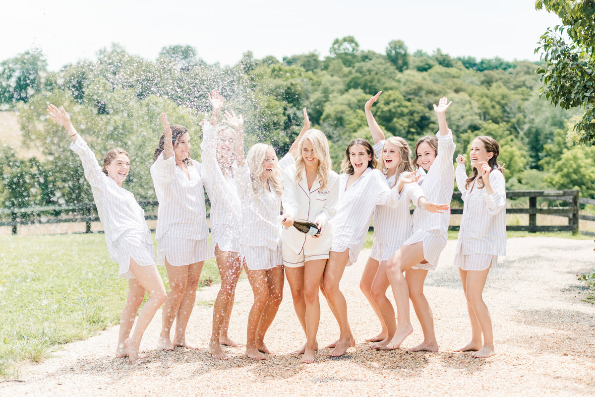 Classic Blush & Gold Goodstone Inn Wedding  Megan Kelsey Photography-1826