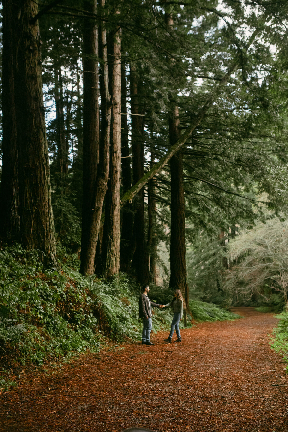 Guy and girl dancing in the redwood trees during engagement session