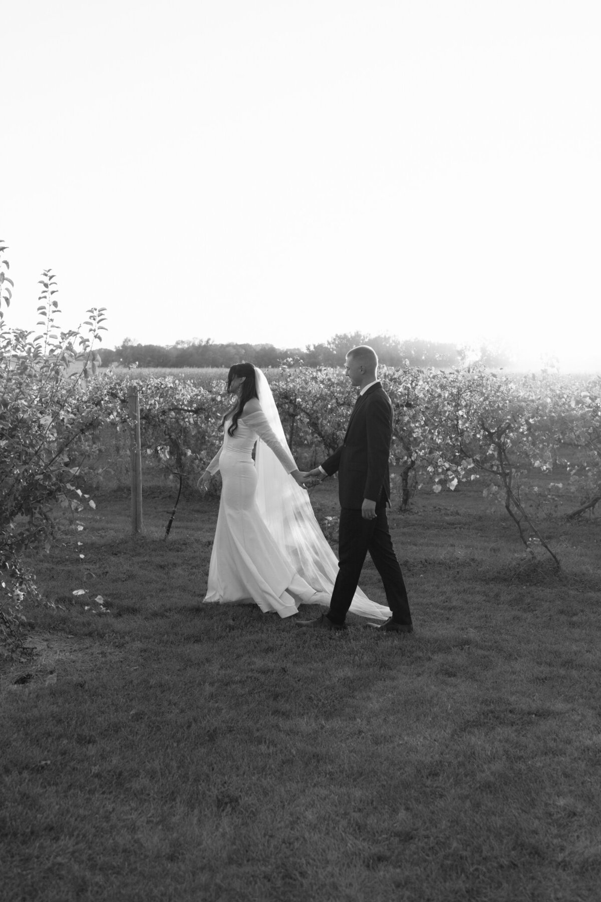 Schade Vineyard & Winery Volga SD Wedding, South Dakota Wedding Photographer, Sioux Falls Wedding Photographer-038