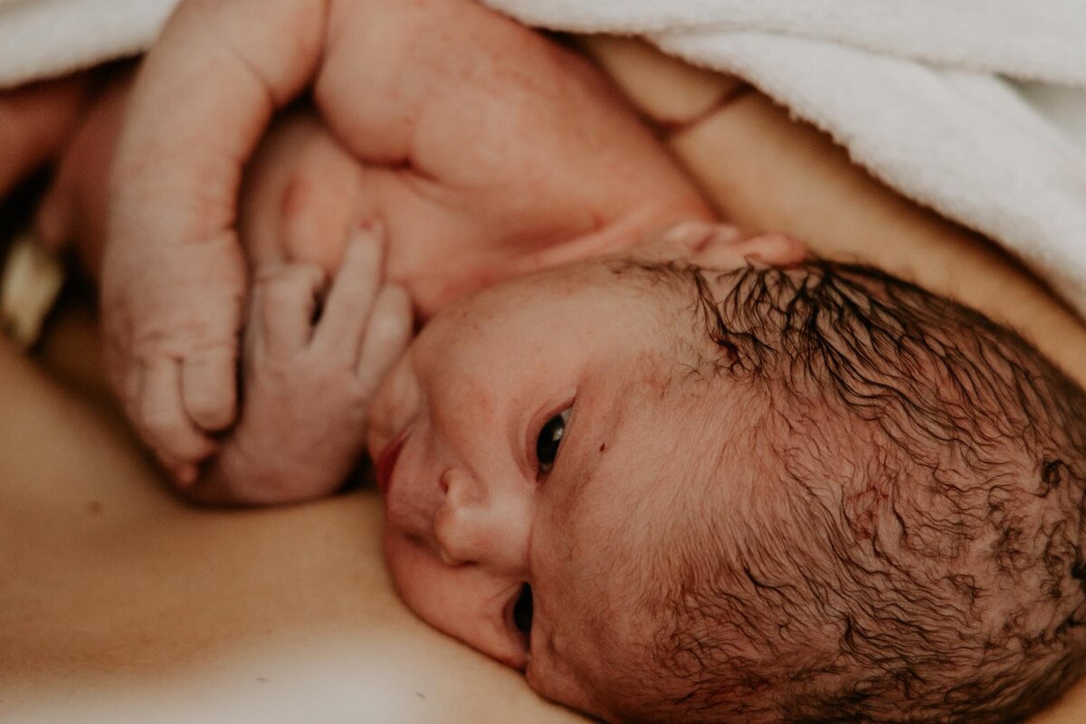 Hospital Birth Subiaco Birth Photographs-270