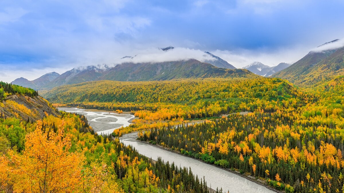 Yellow Mountainside