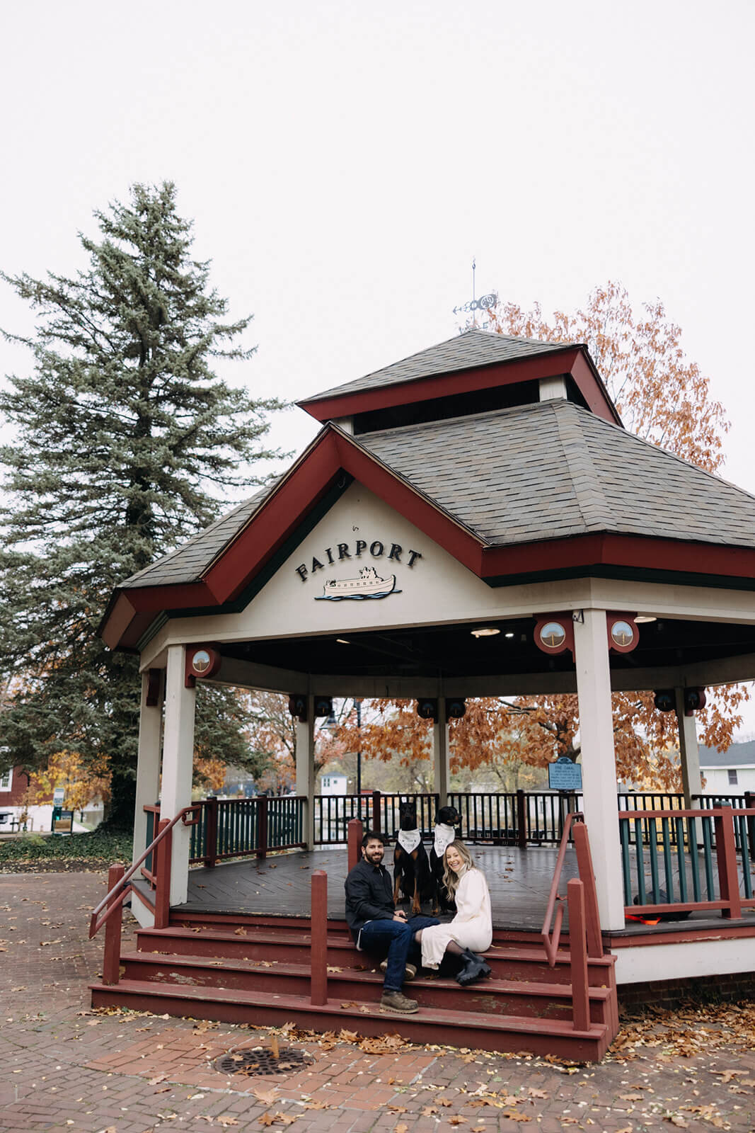 Couple sitting on pavillion with dogs for  pregnancy announcement photos in Finger Lakes, NY