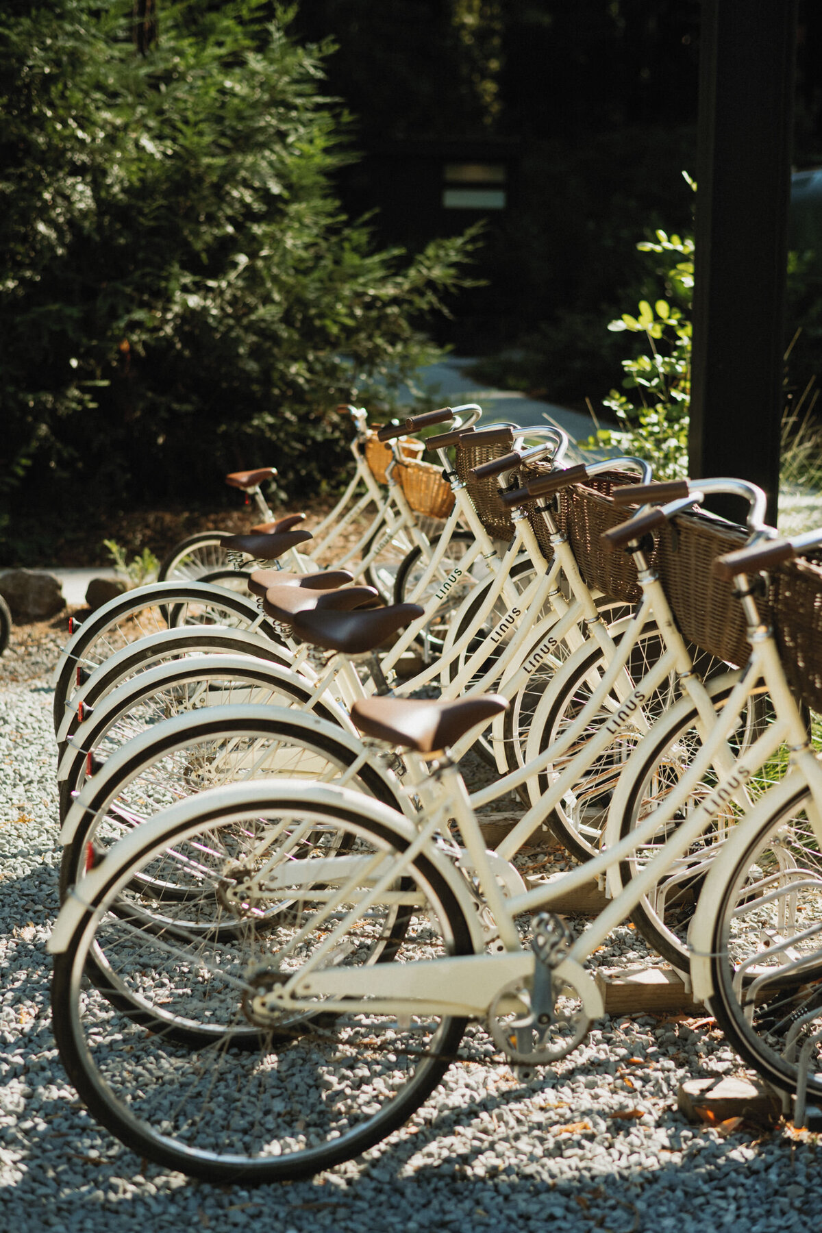 Auto-Camp-Russian-River-Barebones-Living-Brand-Shoot-Jess-Rankin-Photographer-4
