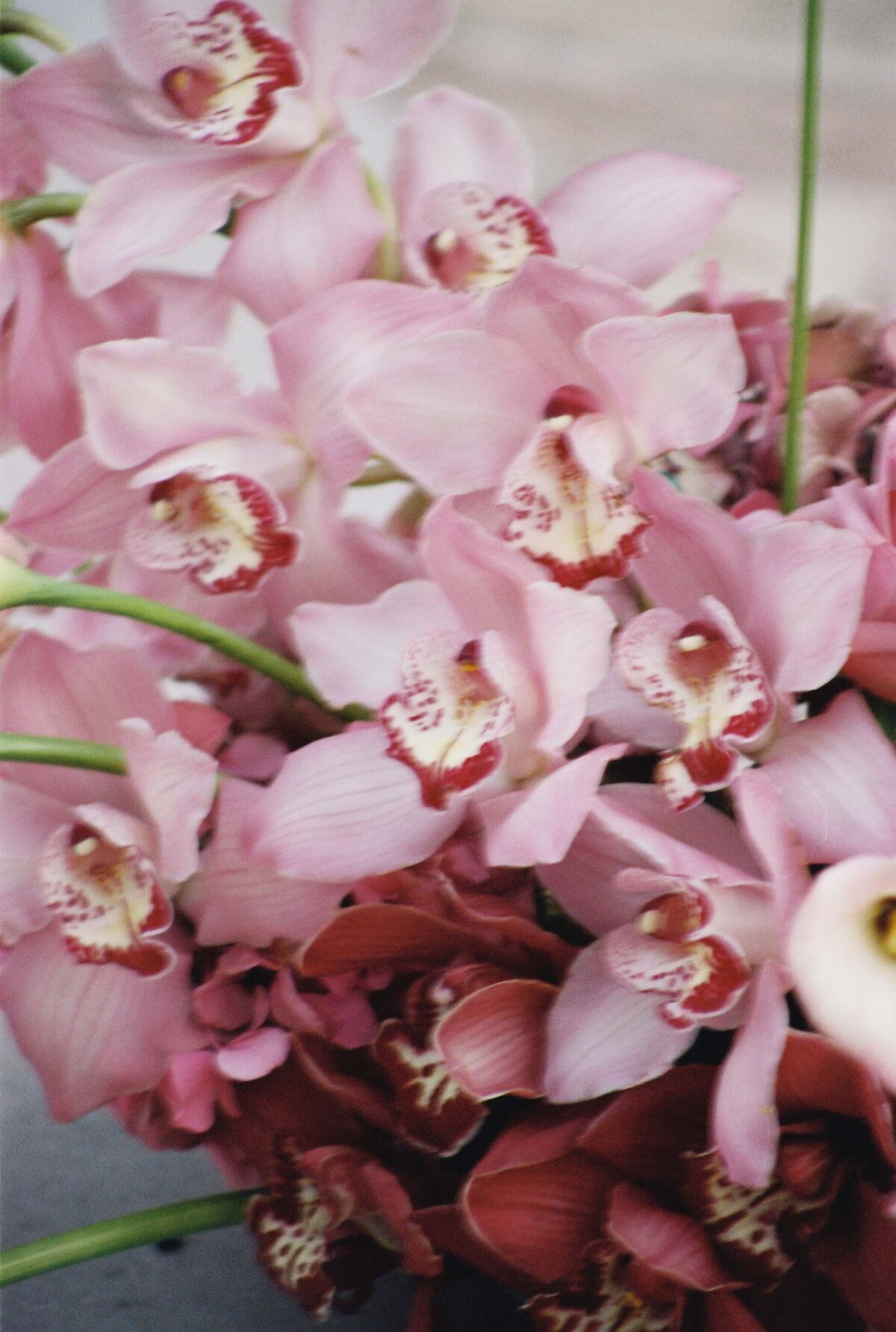 pasadena-wedding-film-photo-1