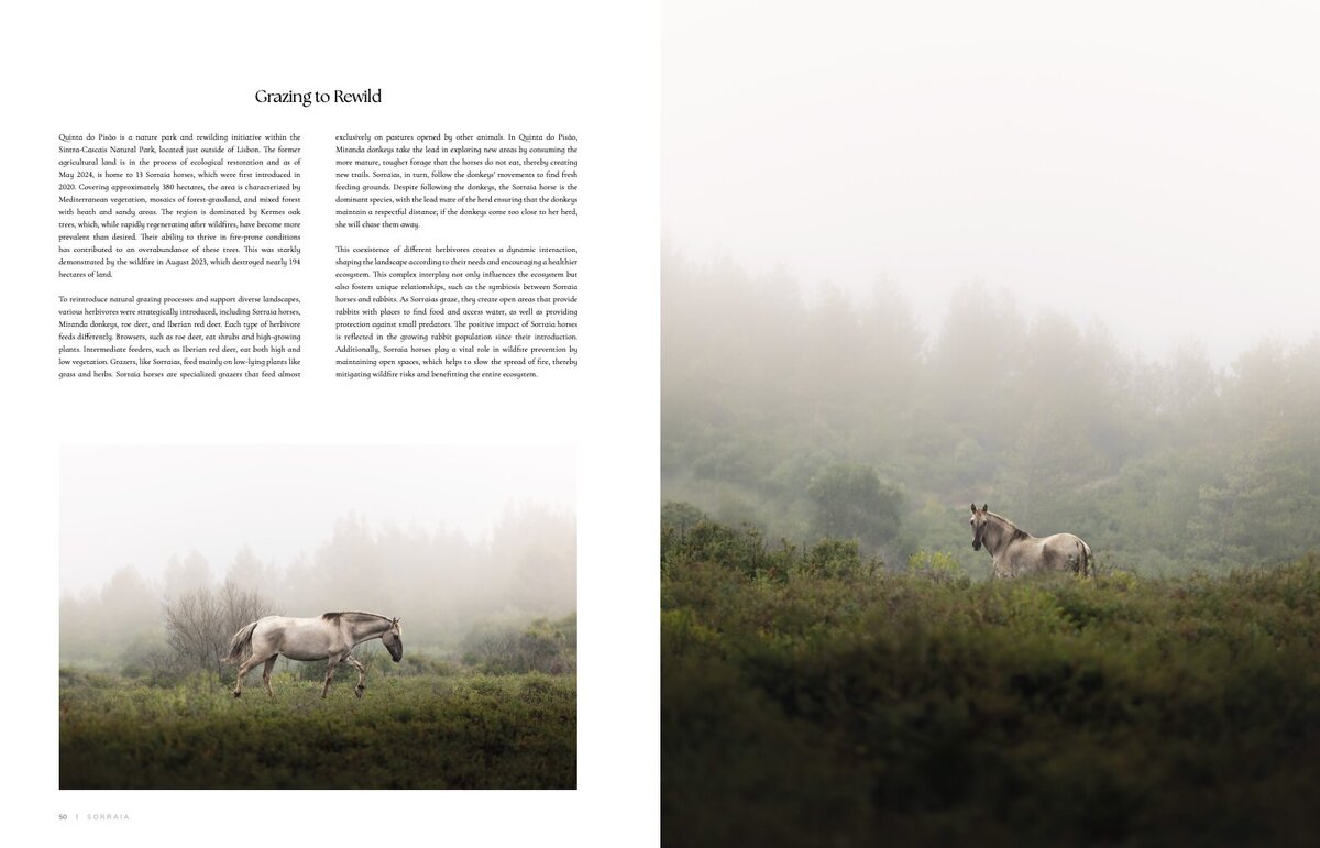 FH_V15 (dragged) 3.pdf-1-2