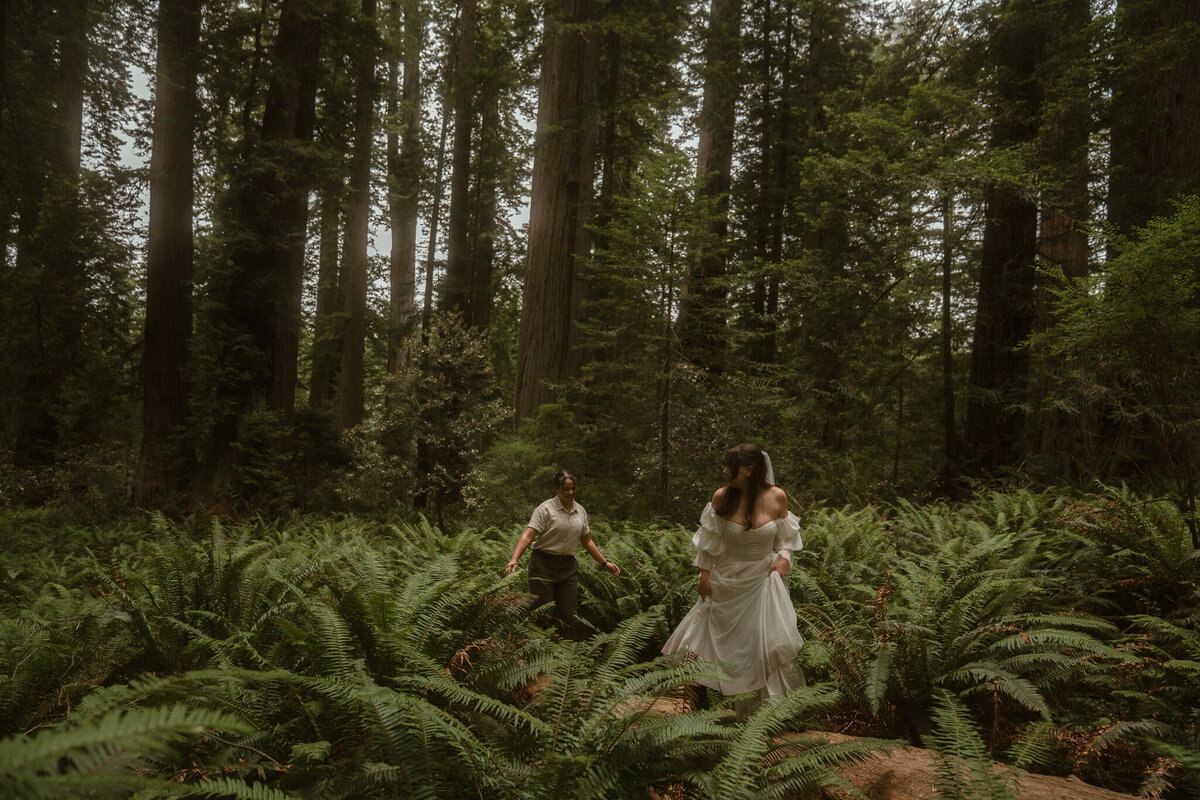 Smoke&theSea - Redwood Elopement-26