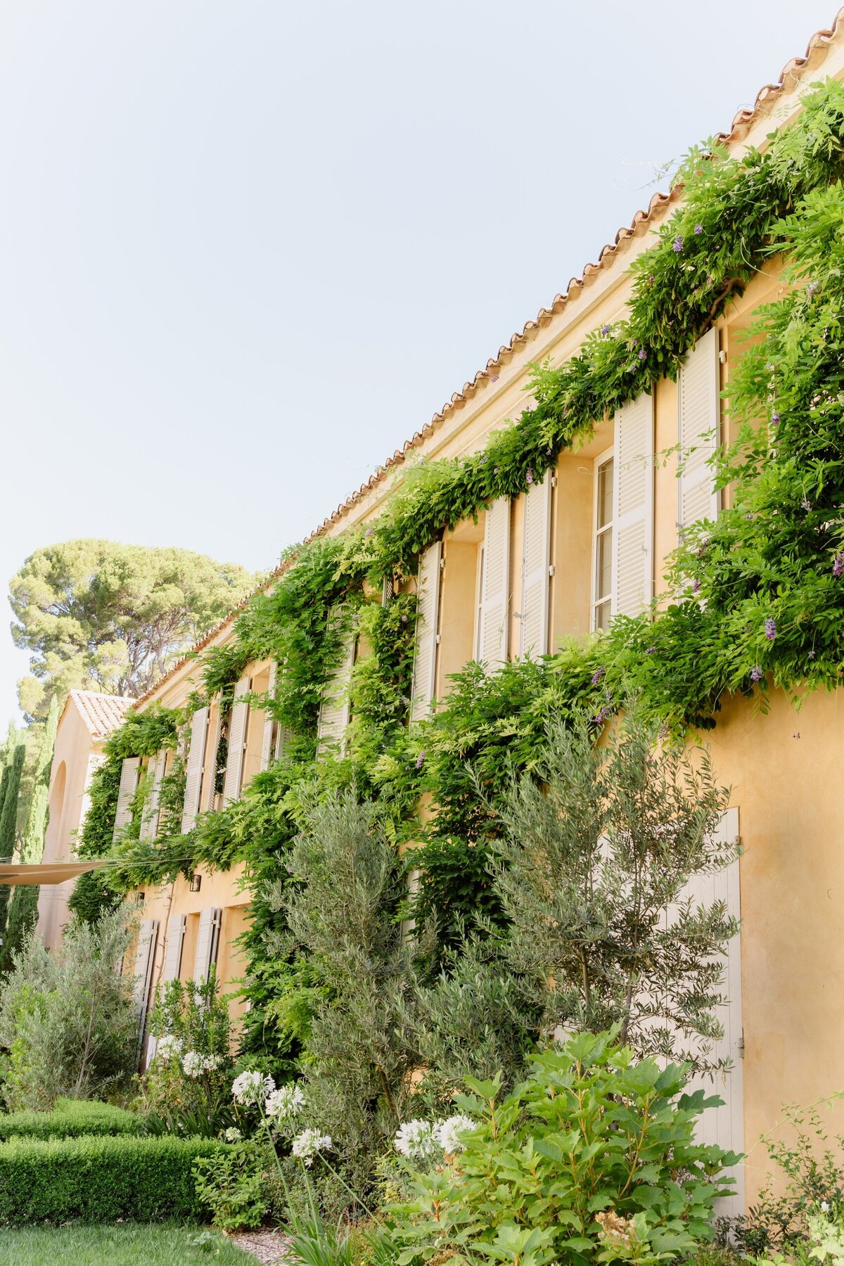 Organic_Wedding_Château_Gaude _Provence_florist_Capucineatelierfloral577